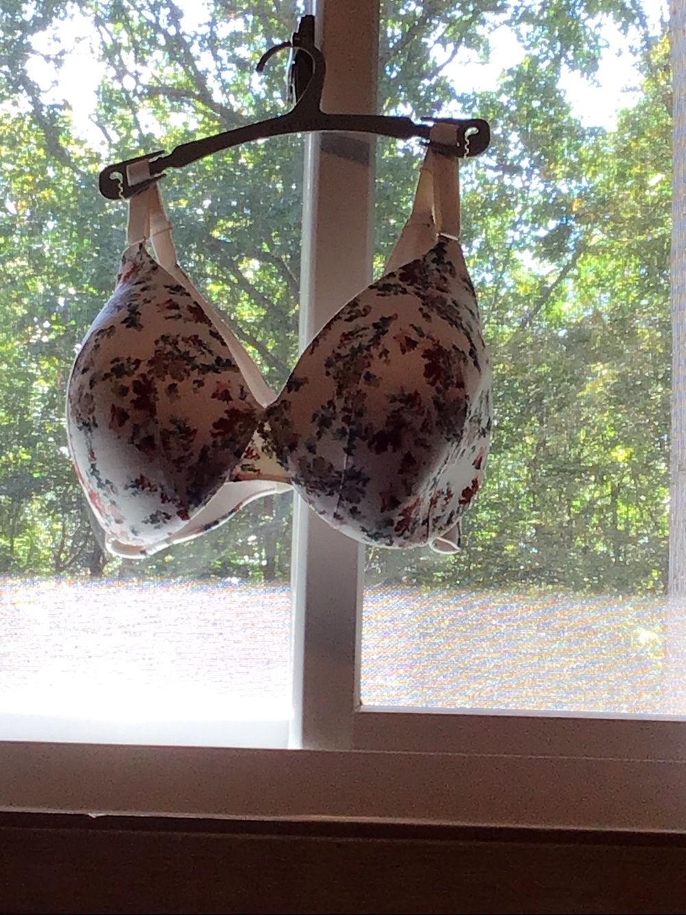 Cacique Backsmoother bra